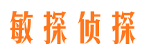 广河市私家调查